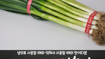 4키로 대파 득템 후기! ✨ 놓치면 후회할 꿀팁 대방출!