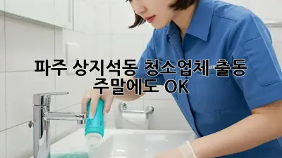 파주 상지석동 청소업체 출동, 주말에도 OK!